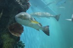 resIMG_20140623_183430_2726.JPG